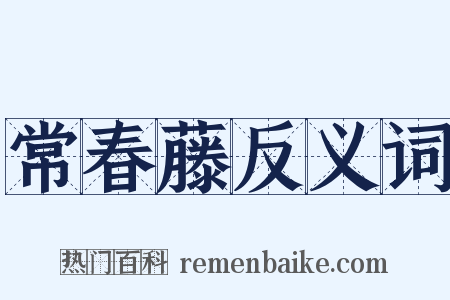 常春藤反义词是什么意思的图片